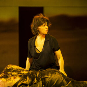 Juliette Binoche in Conversation, Théâtre de la Ville