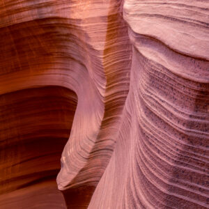 America’s National Parks, from wilderness to cultural treasures
