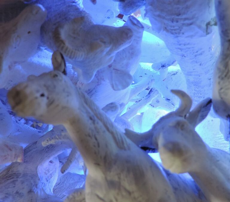 ArtsArenaPLUS: Artist Soyeon Cho